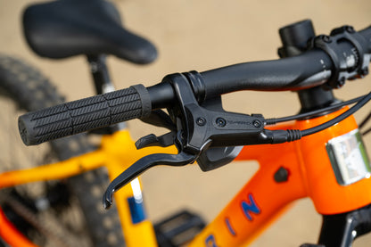 MARIN San Quentin 20&quot; 2025