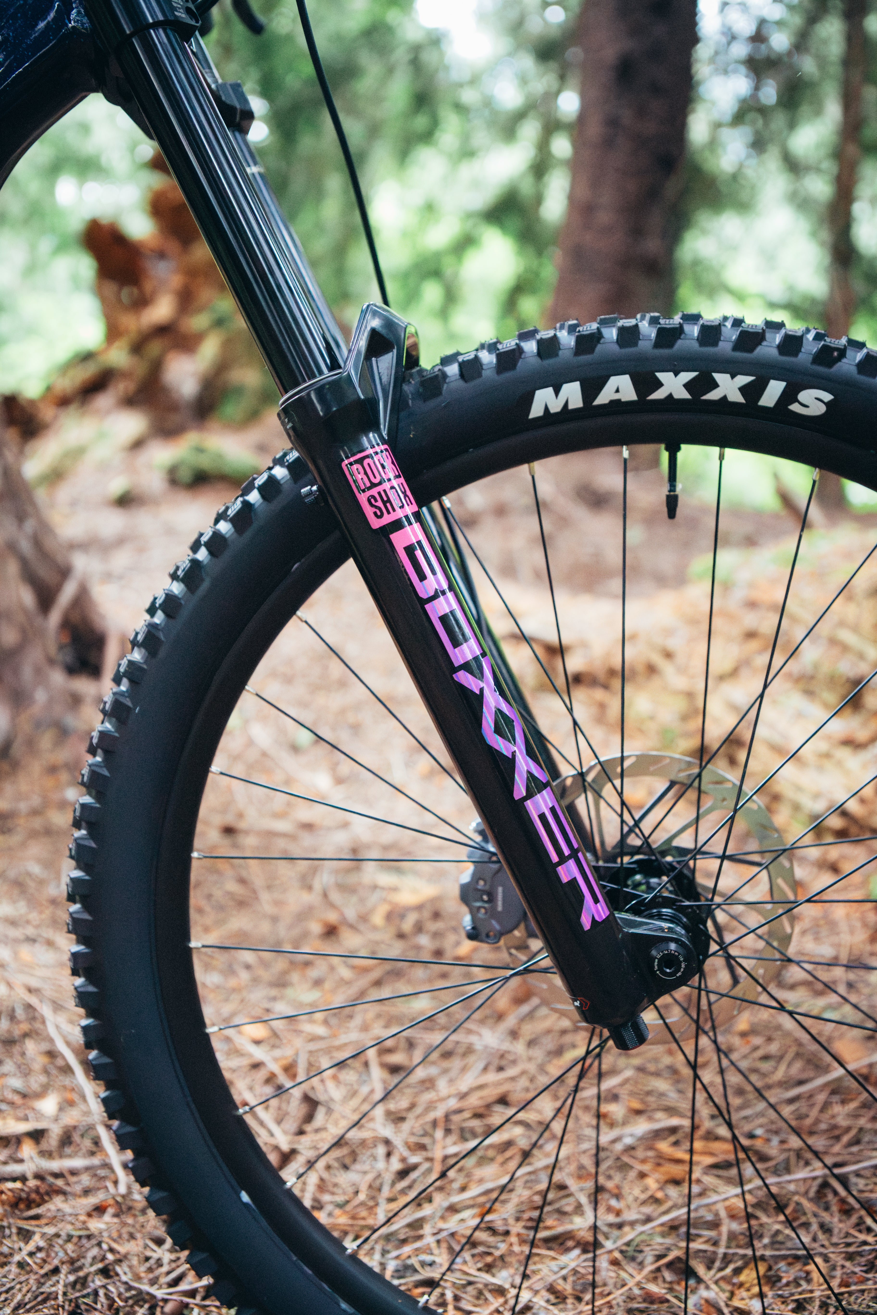 MARIN Quake DH 2025