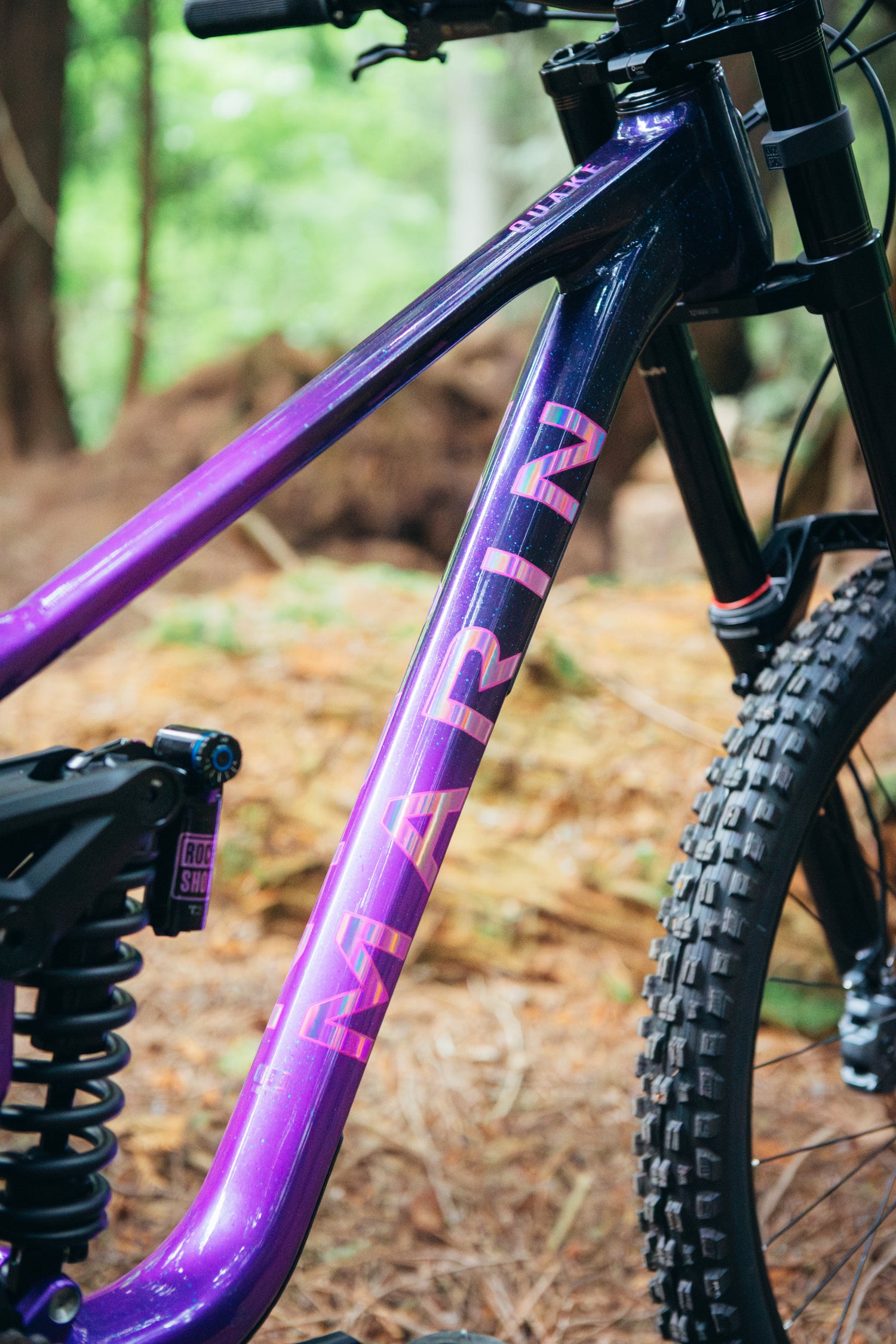 MARIN Quake DH 2025
