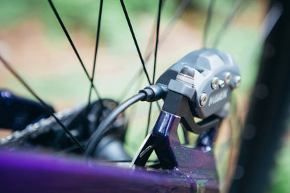 MARIN Quake DH 2025