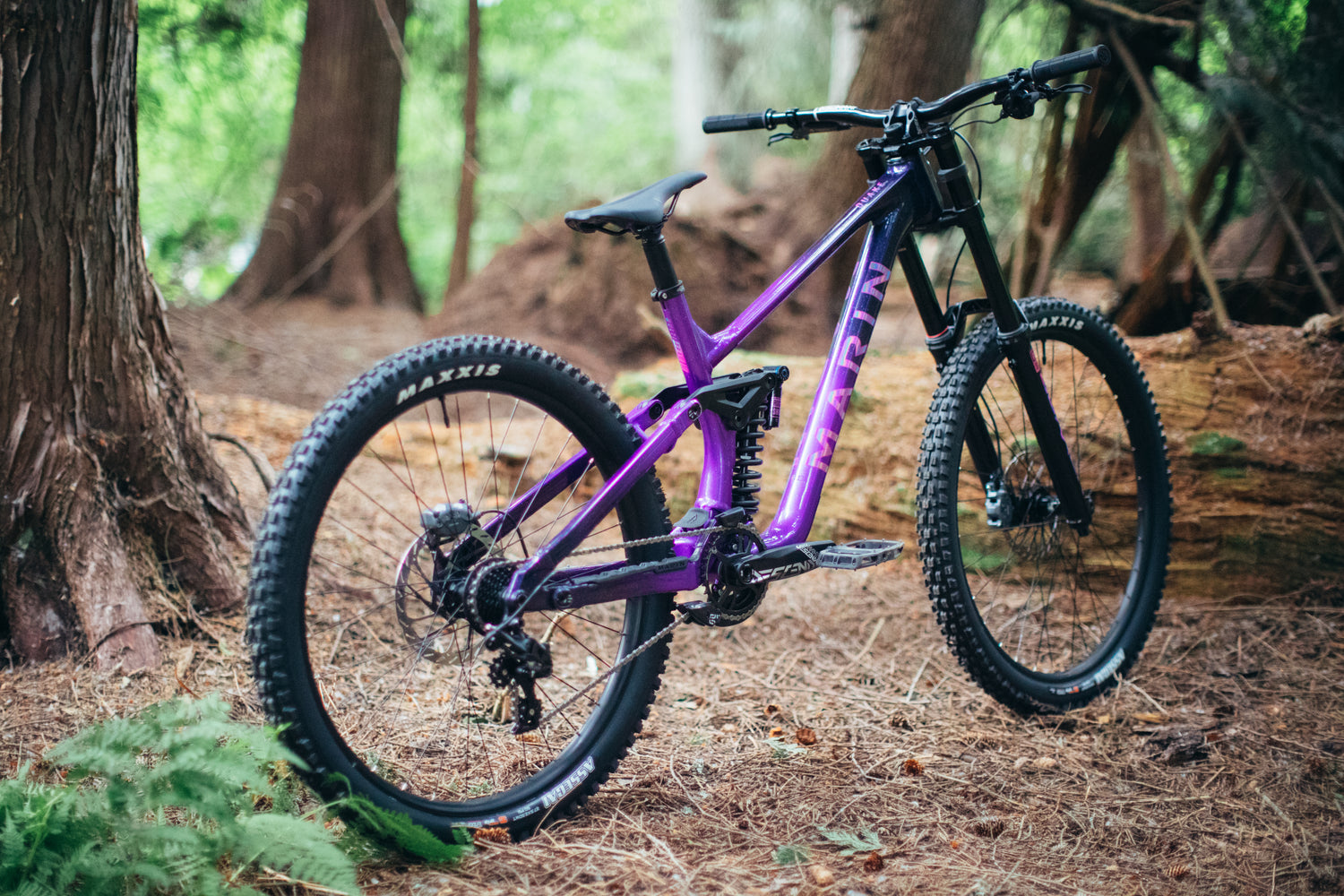 MARIN Quake DH 2025
