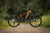 MARIN Rift Zone EL XR AXS 2025